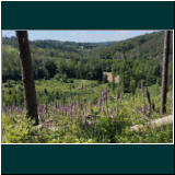 WhatsApp Image 2024-06-11 at 09.48.17(3).jpg